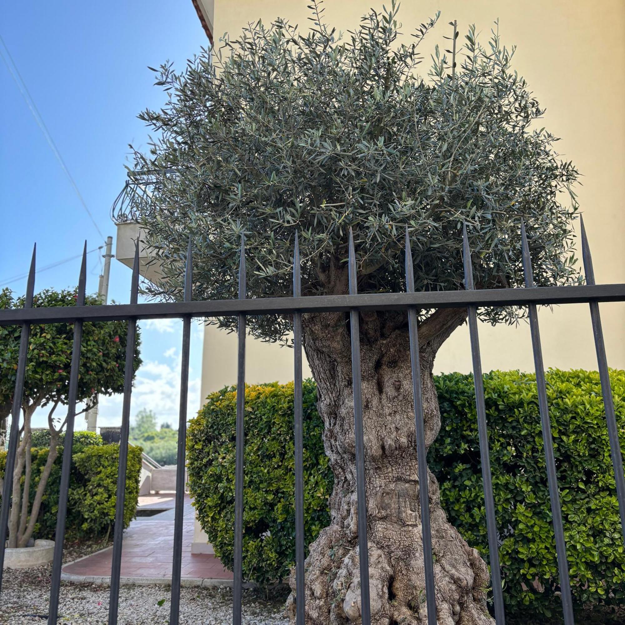 Villa Manzo Relais -Pompei Vesuvius Boscotrecase Екстериор снимка